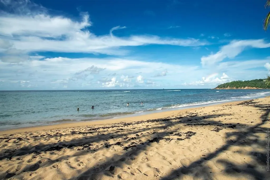 Beach View Appart , Tartane , Martinique Trinité  0*, Trinité (Tartane) Martinique
