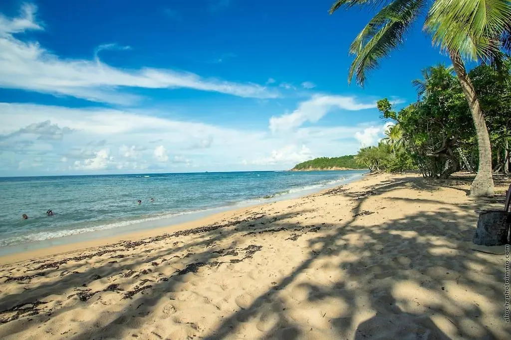 Beach View Appart , Tartane , Martinique Trinité