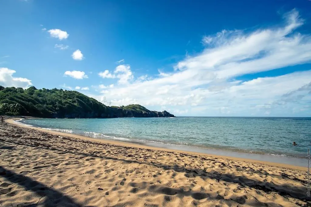 Appartement Beach View Appart , Tartane , Martinique Trinité